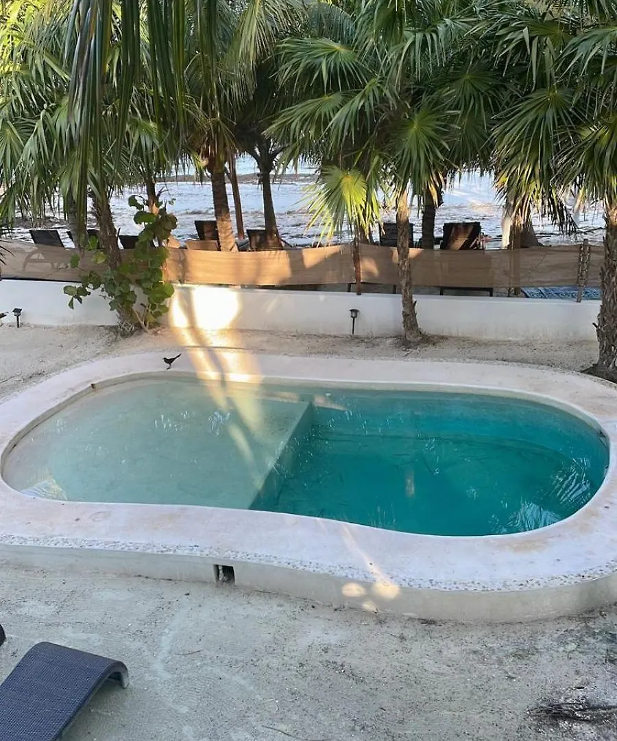 **** Hotel La Puerta Azul Beachfront - Adults Only Isla Holbox Meksyk