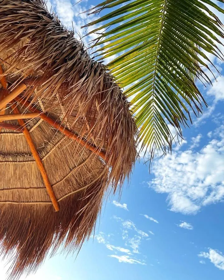 La Puerta Azul Beachfront - Adults Only Isla Holbox
