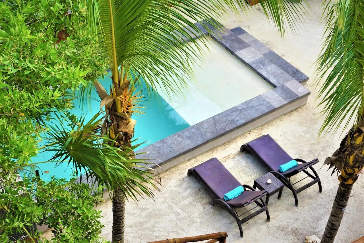 La Puerta Azul Beachfront - Adults Only Isla Holbox 4*,