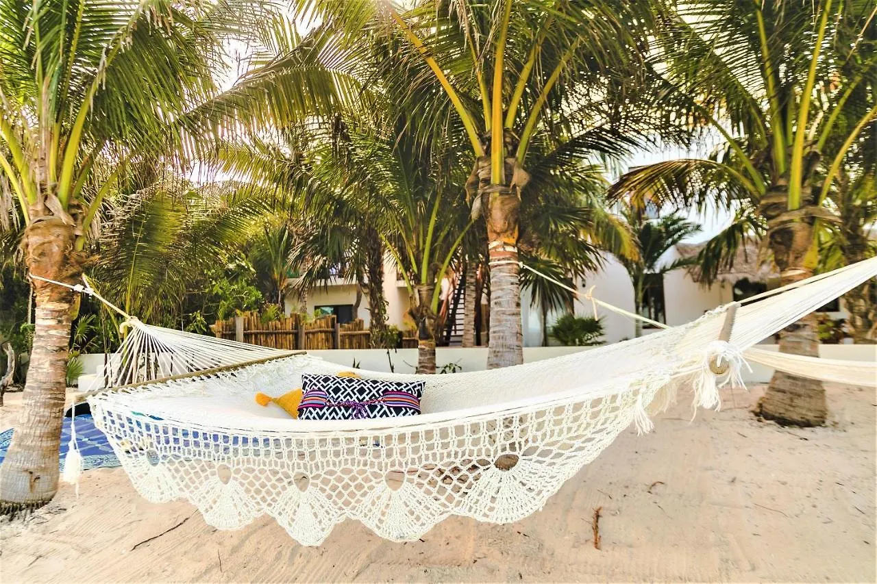 La Puerta Azul Beachfront - Adults Only 홀박스아일랜드